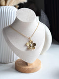 GOLDEN DAISY