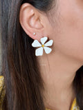 WHITE DAISY