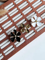 BLACK DAISY